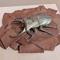 クワガタ