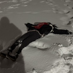 スクリーンショット 2026-03-08 6.34.16