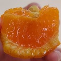 image18のコピー